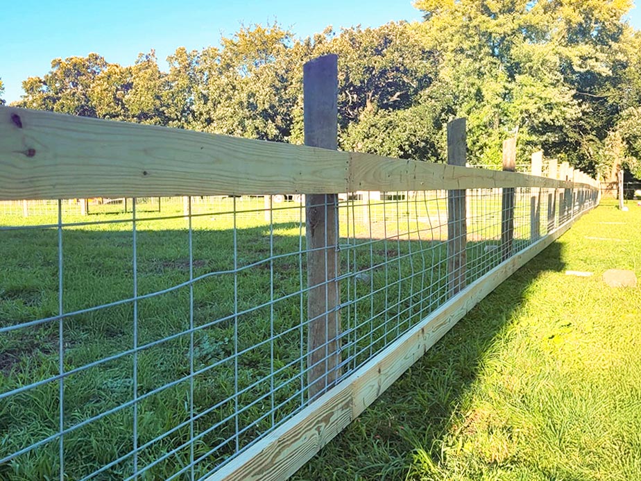 Dog Fence Contractor in Madison Wisconsin