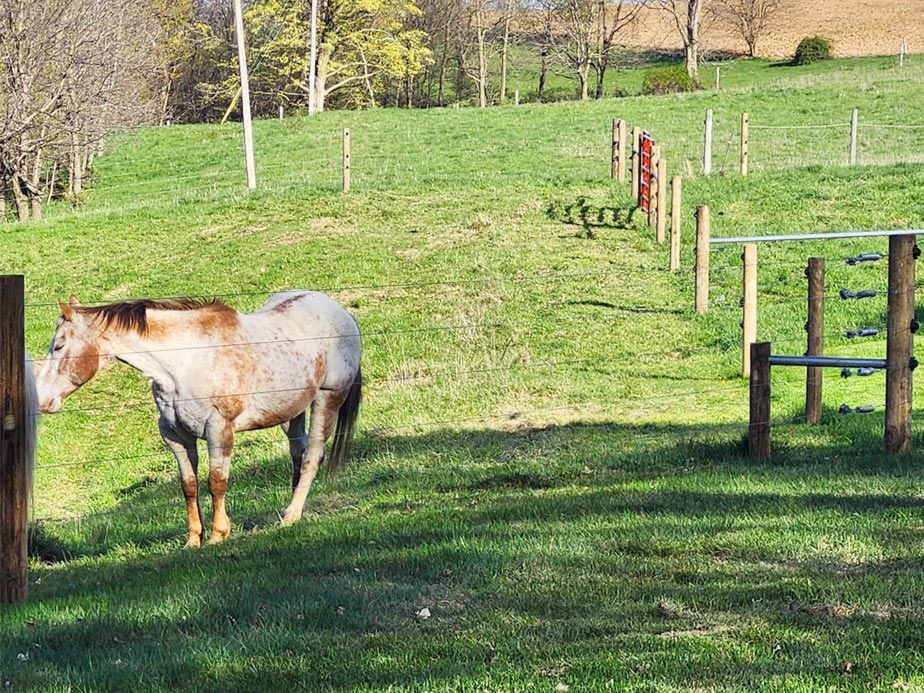 Farm fence company serving the  Madison Wisconsin