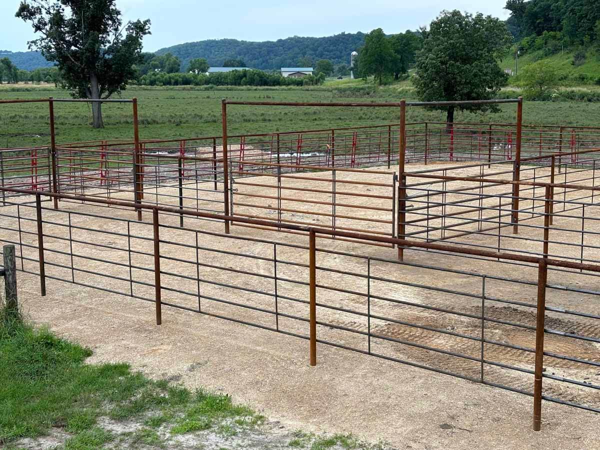 Fence with Cattle fence installed on a farm in Madison Wisconsin in Madison Wisconsin