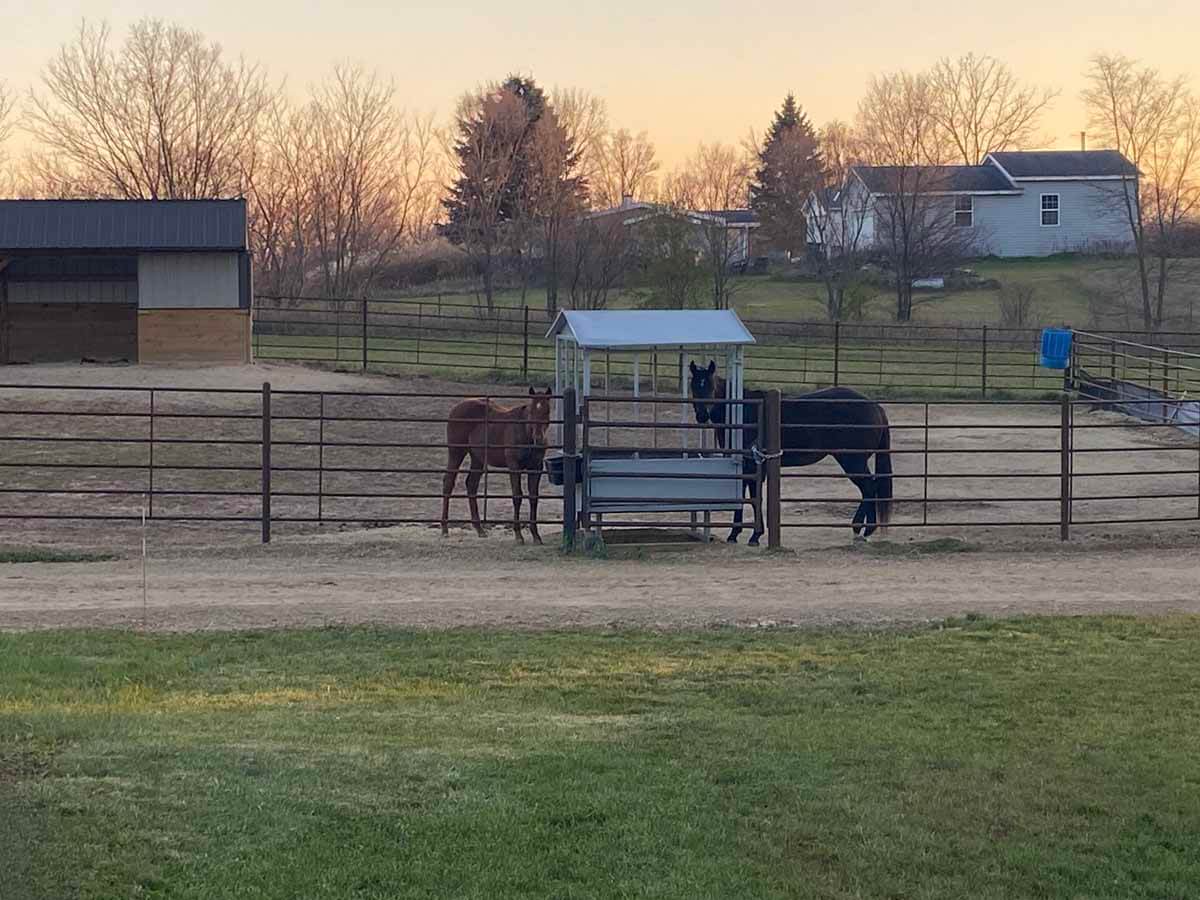 Fence with Metal horse fence installed around a horse barn in Madison Wisconsin in Madison Wisconsin