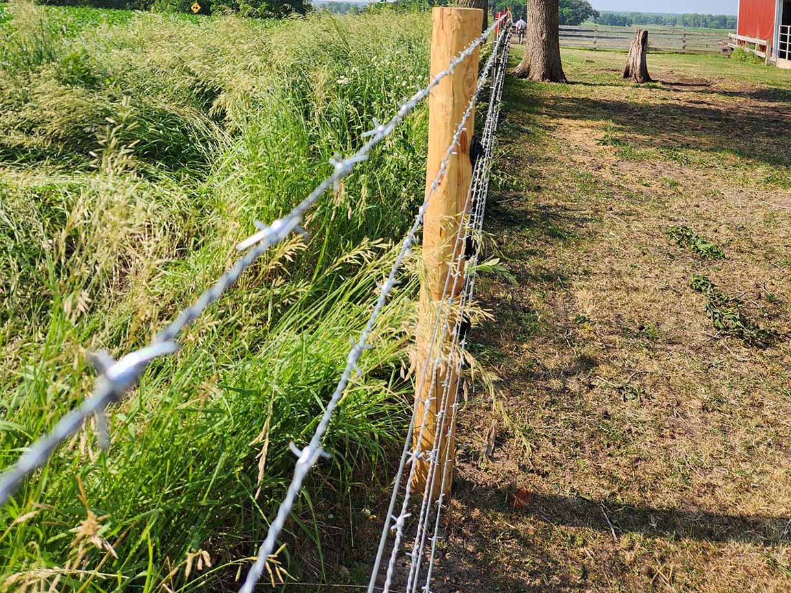 Fence with Barbed Wire Farm Fence Linden Wisconsin  in Madison Wisconsin