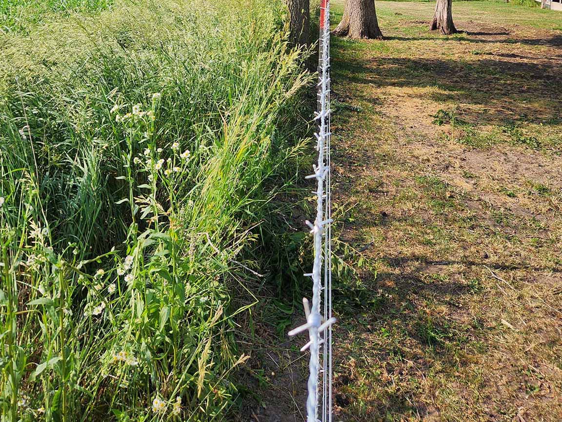 Fence with Barbed Wire Farm Fence Linden Wisconsin  in Madison Wisconsin