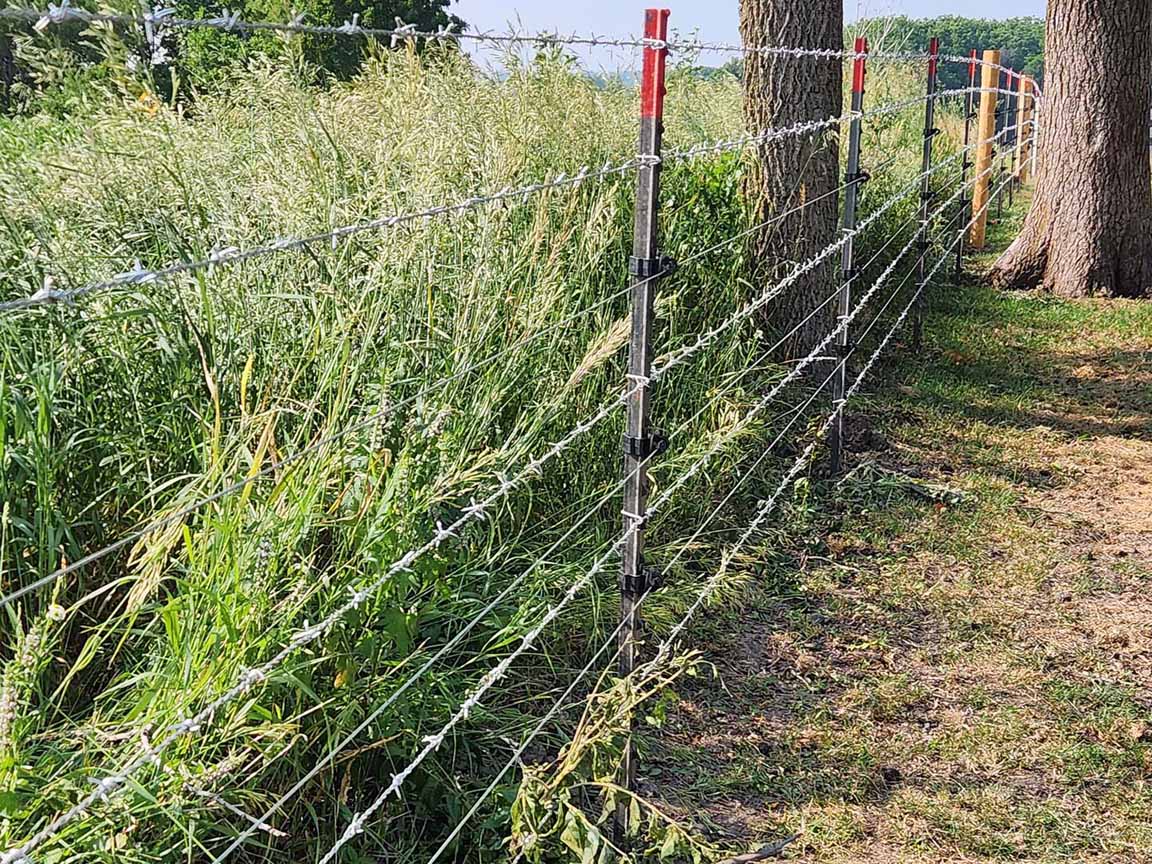 Fence with Barbed Wire Farm Fence Linden Wisconsin  in Madison Wisconsin