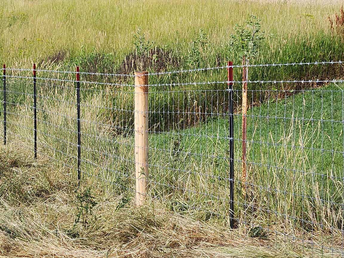 Fence with Barbed Wire Farm Fence Linden Wisconsin  in Madison Wisconsin