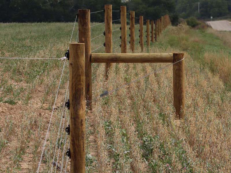 Fence with High Tensile Farm Fence Linden Wisconsin for Livestock Management in Madison Wisconsin