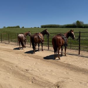 Fence installation in Linden, WI