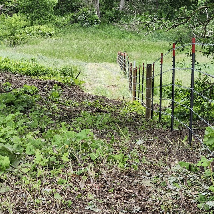 Fence installation in Linden, WI