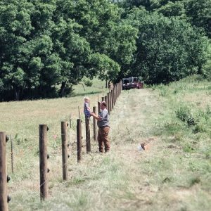 Fence installation in Linden, WI