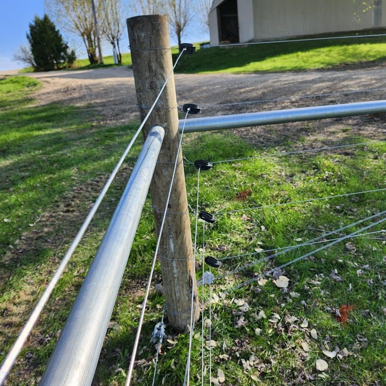 High tensile fence installed near Beaver Dam, Wisconsin