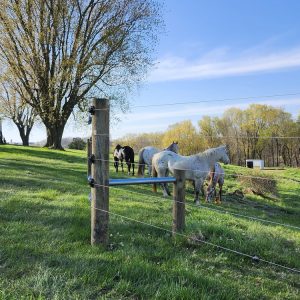 Fence installation in Linden, WI