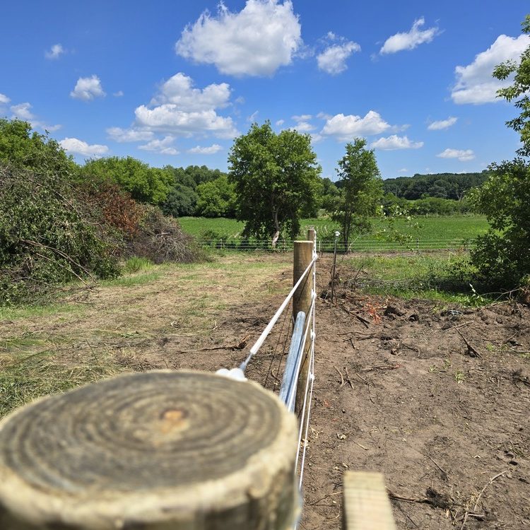 Electric fence line installed near Beaver Dam, Wisconsin