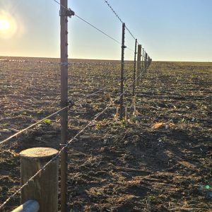 Fence installation in Linden, WI
