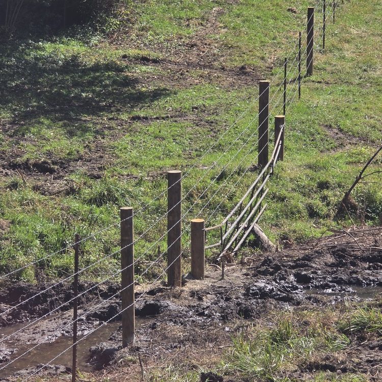 Fence installation in Linden, WI Fence installation in Linden, WI