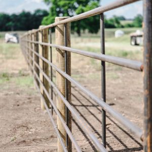 Fence installation in Linden, WI