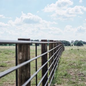 Fence installation in Linden, WI