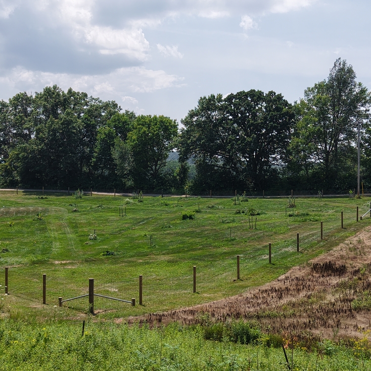 Fence installation in Linden, WI Fence installation in Linden, WI