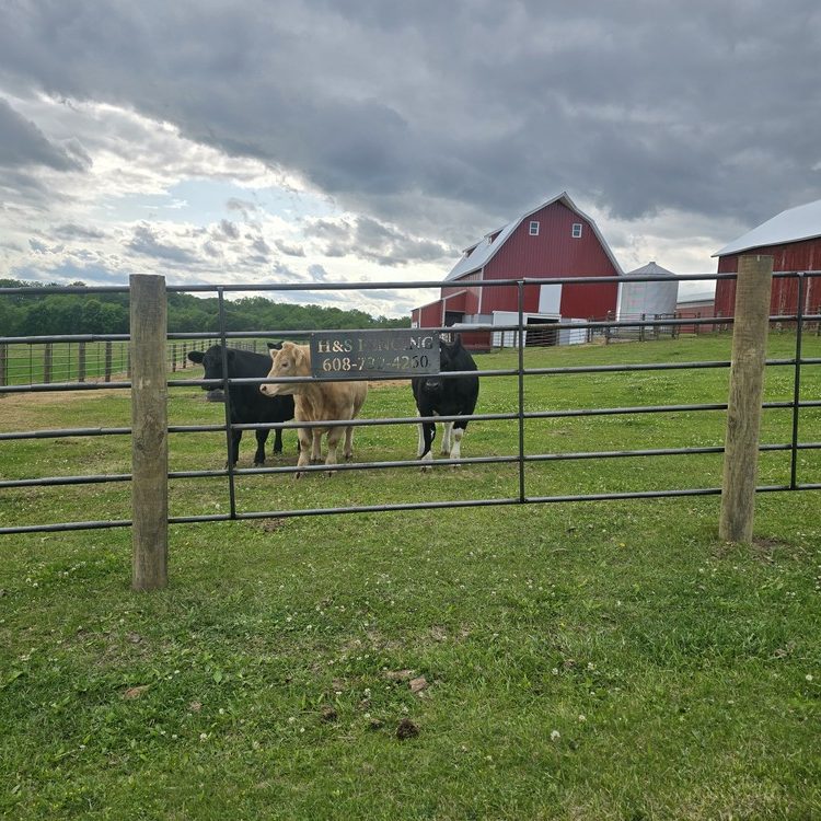 Animal fencing installed in Beaver Dam, Wisconsin