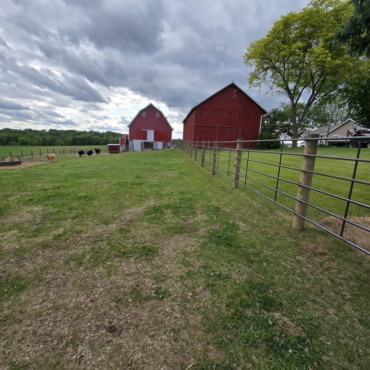 Animal fencing installed in Stockton, Illinois