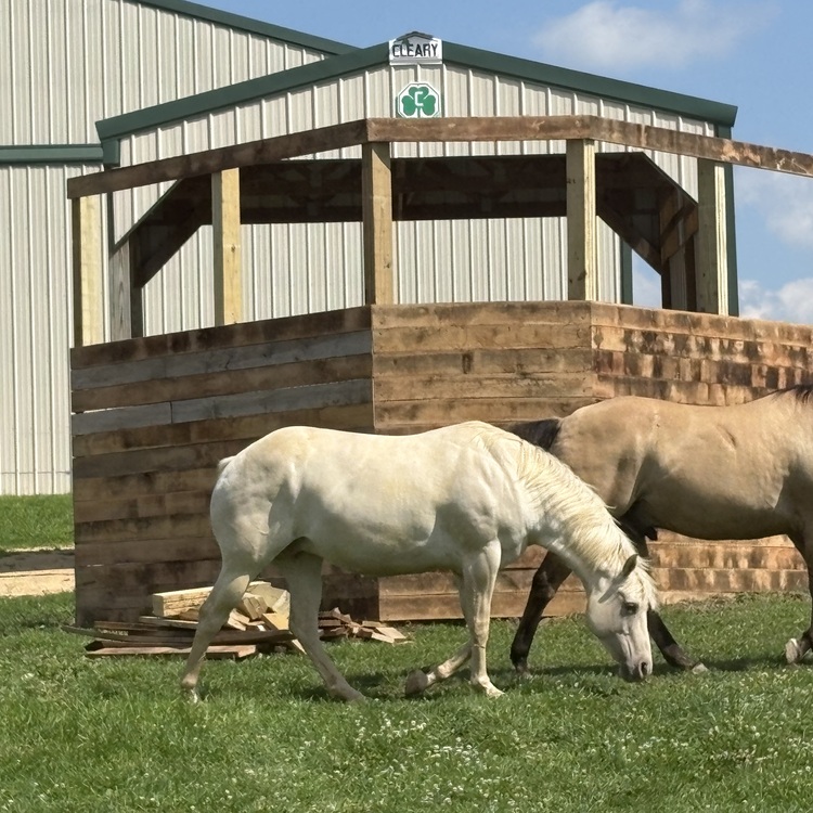 Animal fencing installed in Galena, Illinois