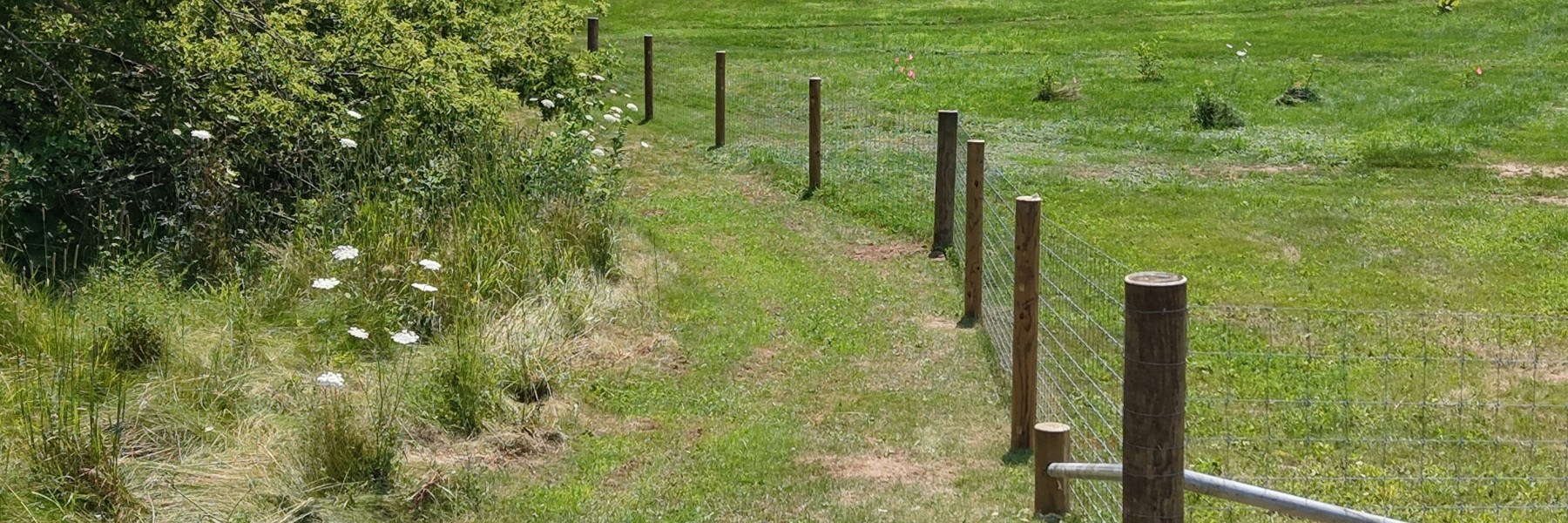 Fence line built by H&S Fencing & Supply near Baraboo, Wisconsin