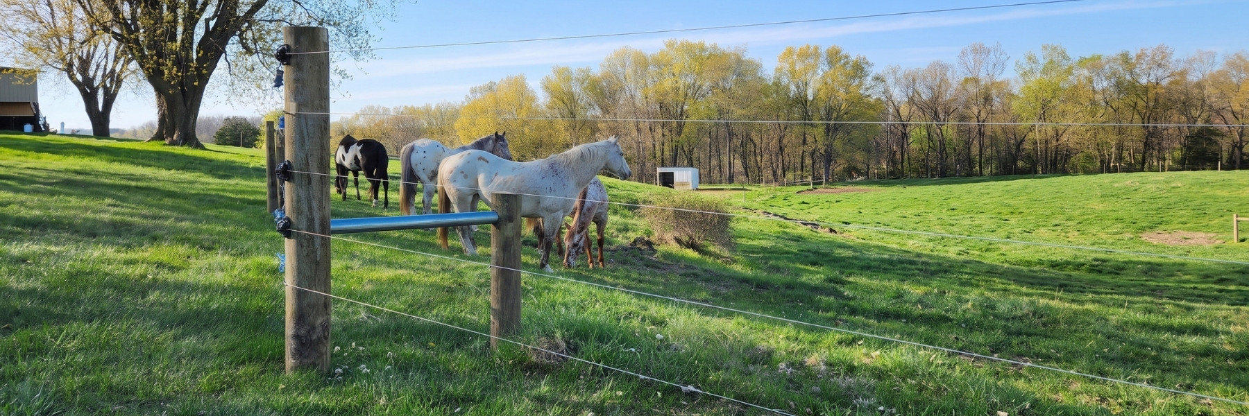 Fence line near Mount Horeb, Wisconsin