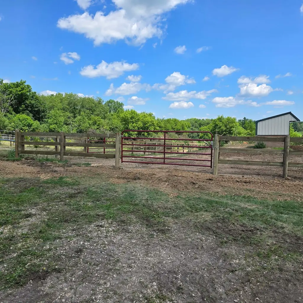 What It Actually Takes to Manage Livestock Effectively on a Wisconsin Farm